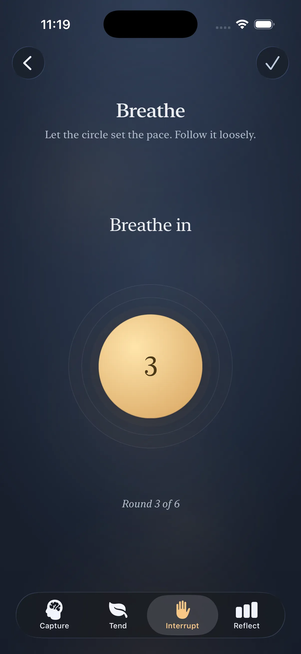 The Loam interrupt breathing exercise with a slow guided rhythm