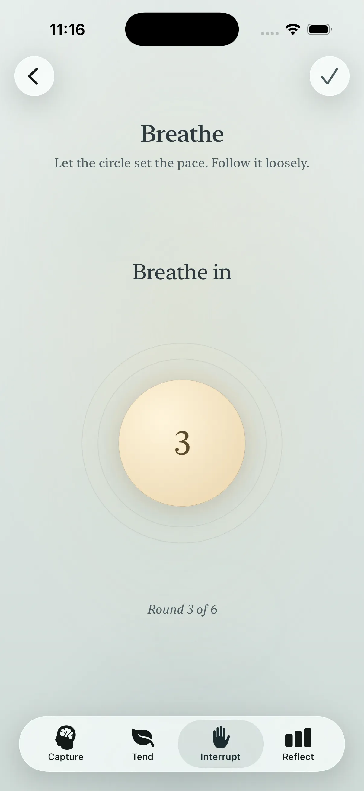 The Loam interrupt breathing exercise with a slow guided rhythm