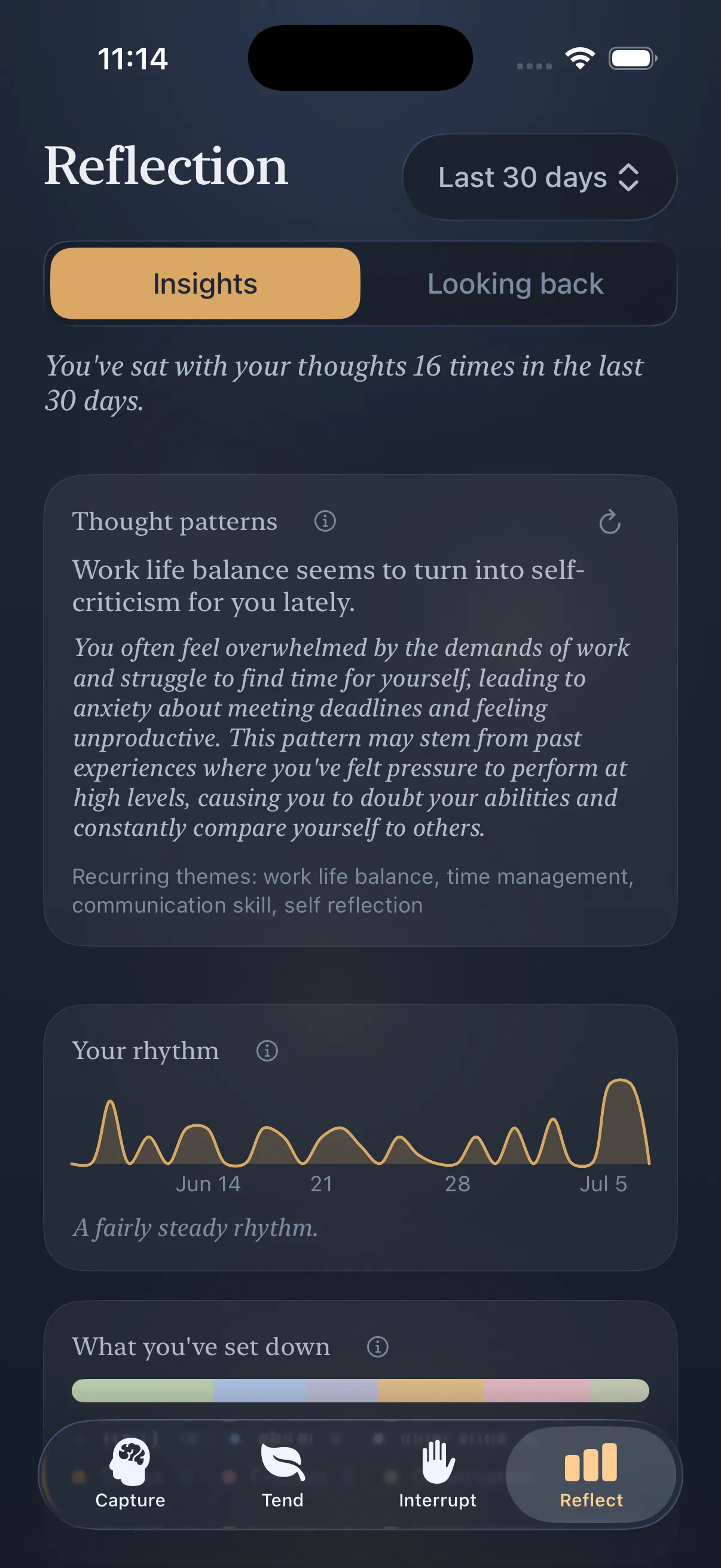 The Loam reflection screen showing intelligent insights over time