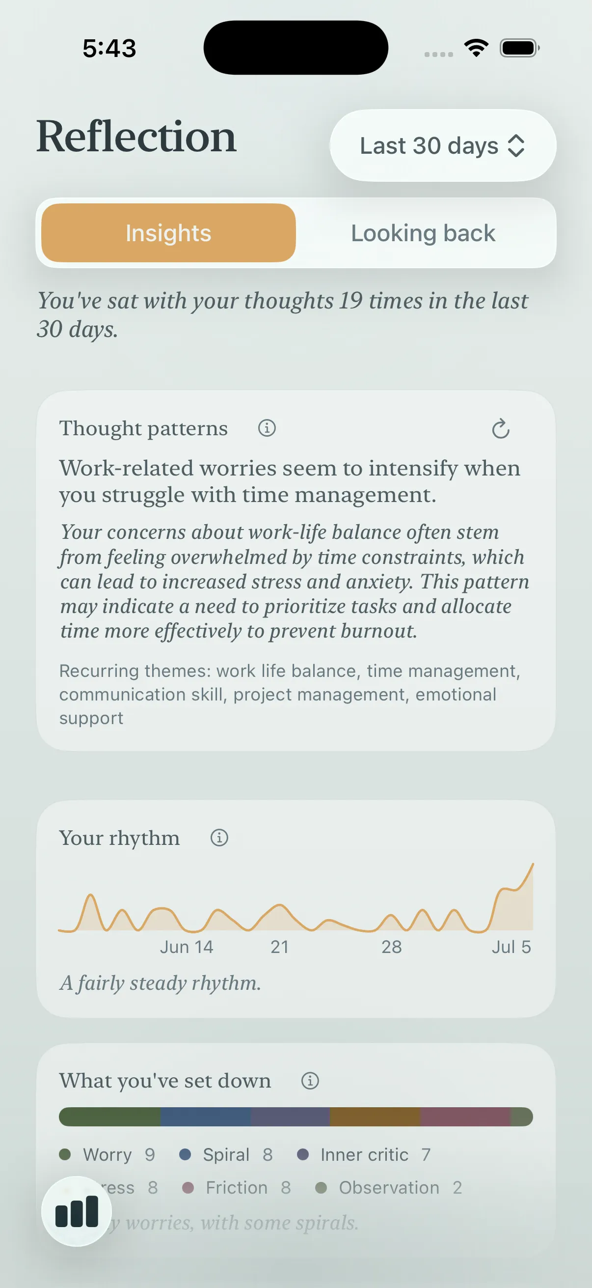 The Loam reflection screen showing intelligent insights over time