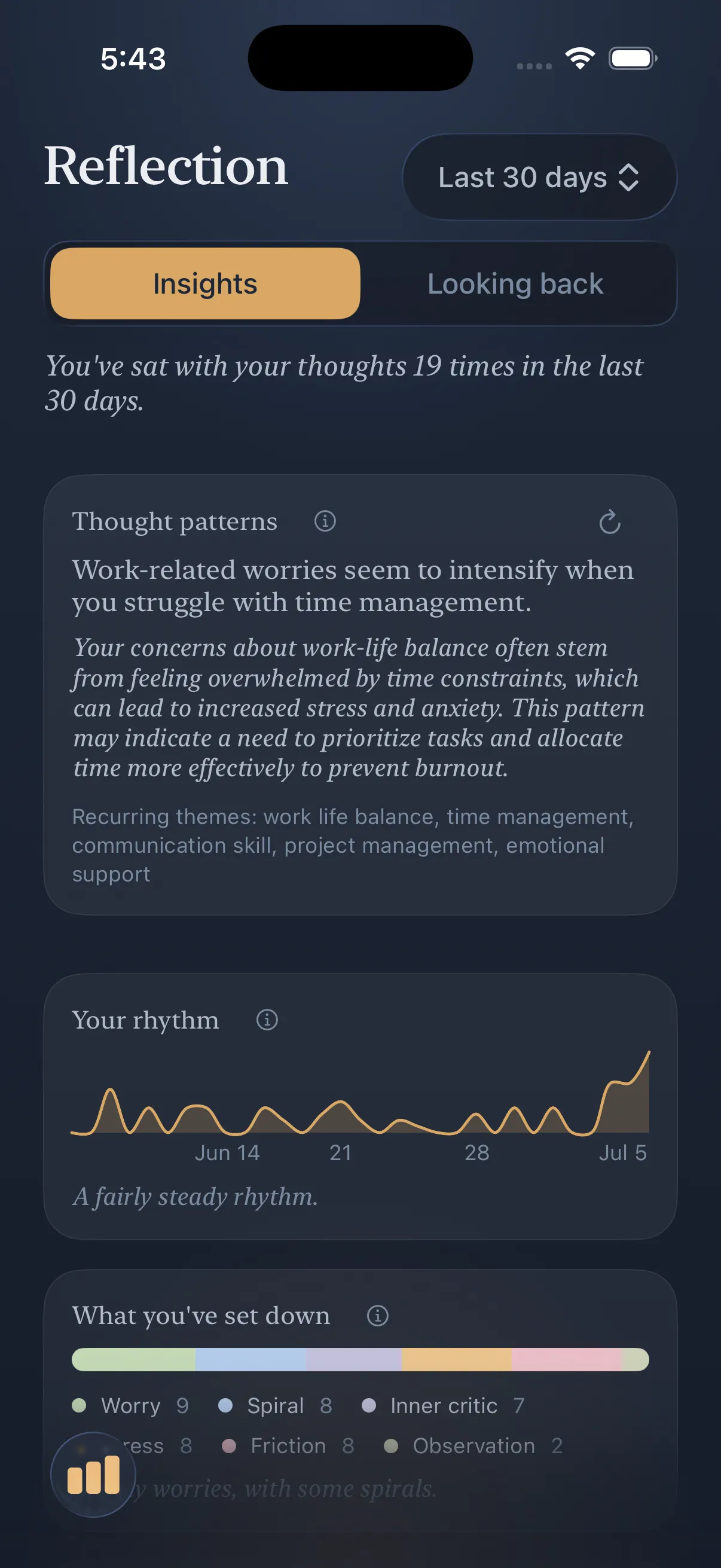 The Loam reflection screen showing intelligent insights over time