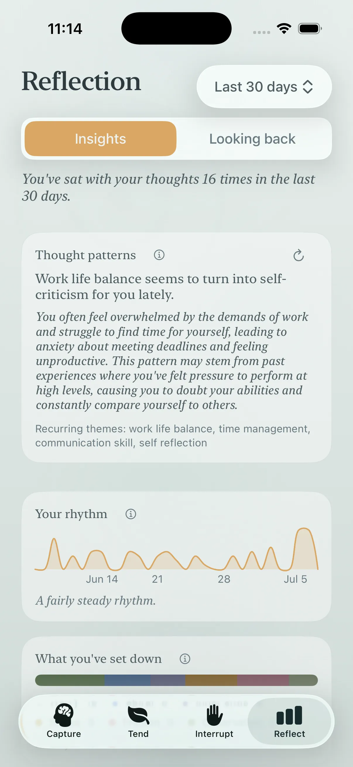 The Loam reflection screen showing intelligent insights over time